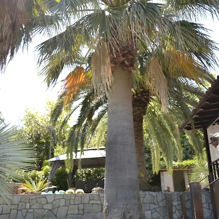Monica's Tropical Villa *