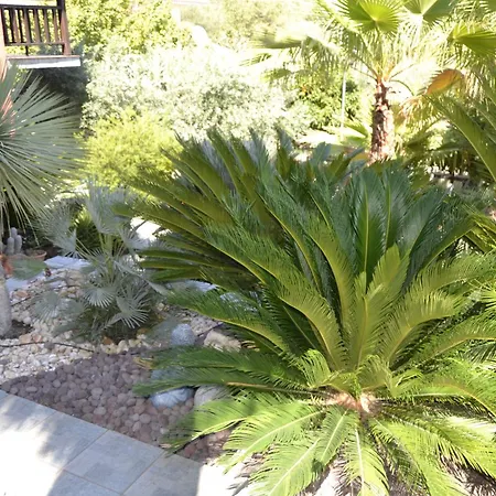 Monica's Tropical Villa Nea Iraklitsa