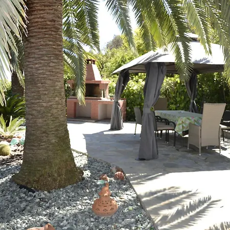 Monica's Tropical فيلة *