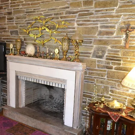 Monica's Tropical فيلة