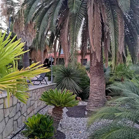 Monica's Tropical Nea Iraklitsa