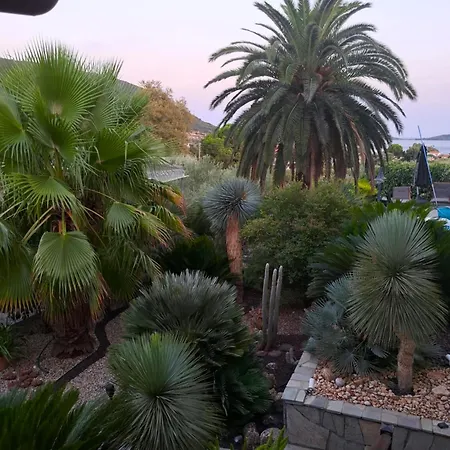 Monica's Tropical فيلة