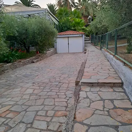 فيلة Monica's Tropical