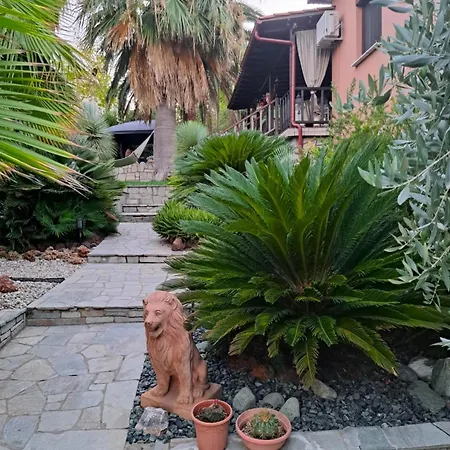 Monica's Tropical Villa *