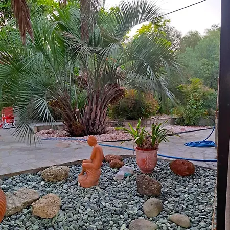 Villa Monica's Tropical