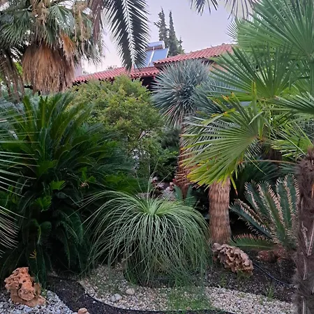 Monica's Tropical *