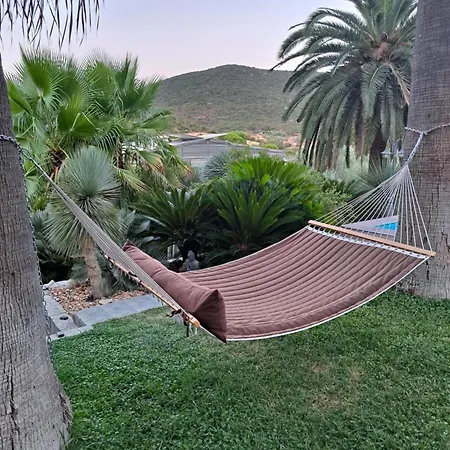 Monica's Tropical Villa