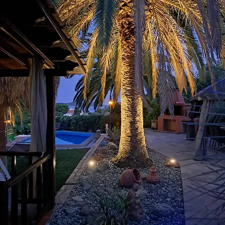 فيلة Monica's Tropical