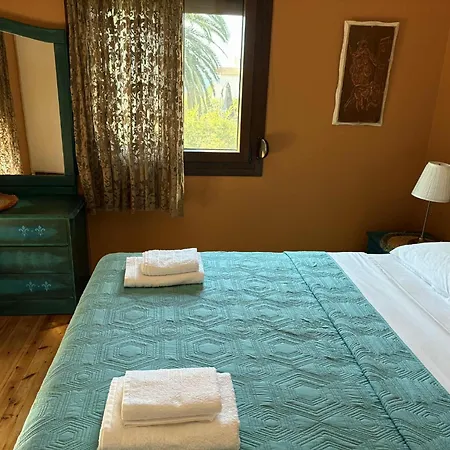 فيلة Monica's Tropical *