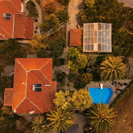 Villa Monica's Tropical *