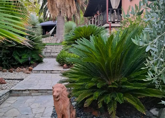 Monica's Tropical Villa *