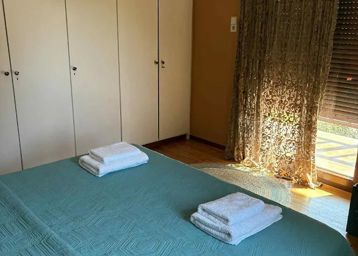 Villa Monica's Tropical